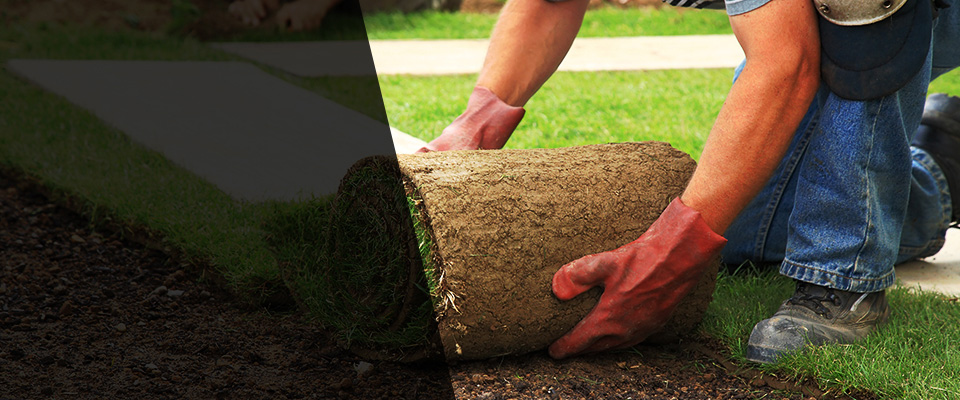 Bogalusa Landscapers